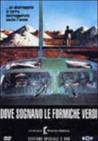Dove sognano le formiche verdi