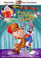 PROVACI ANCORA, TADDEO