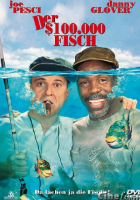 Chi pesca trova