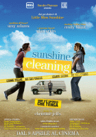 Sunshine Cleaning