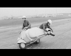 1960