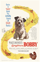 Bobby, il cucciolo di Edimburgo