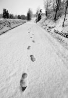 Piccoli passi sulla neve