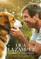 A Dog's Journey
