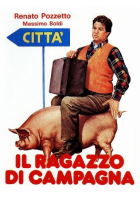 Il ragazzo di campagna