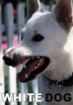 Locandina WHITE DOG