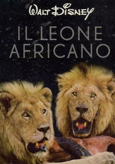 Locandina IL LEONE AFRICANO