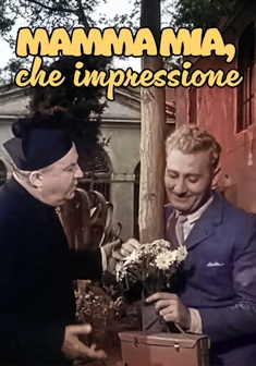 Locandina Mamma mia che impressione!