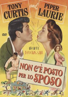 Locandina Non c'è posto per lo sposo