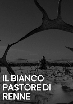 Il bianco pastore di renne