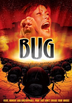 Locandina Bug insetto di fuoco