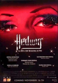 Locandina Hedwig - La diva con qualcosa in più