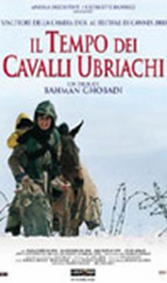 Il tempo dei cavalli ubriachi