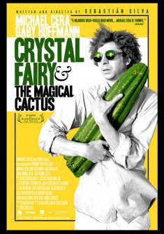 Locandina Crystal Fairy