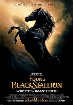 Locandina Young Black Stallion