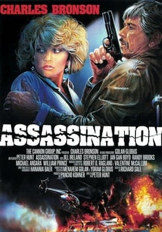 Locandina Assassination