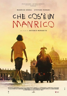 Locandina Che cos'è un Manrico