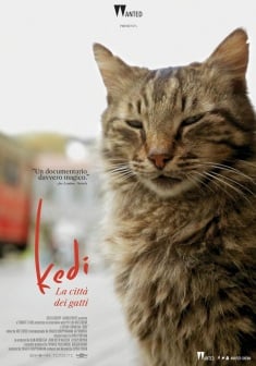 Locandina Kedi. La città dei gatti
