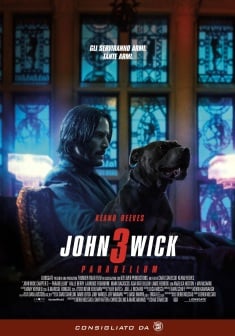 Locandina John Wick 3