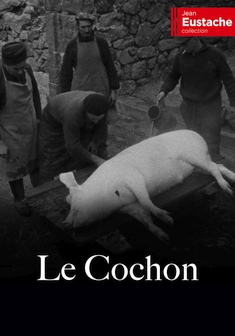 Locandina LE COCHON