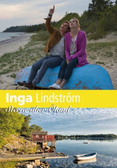 Locandina Inga Lindström - Ricomincio da te