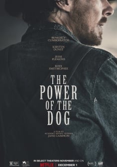 Il Potere del Cane