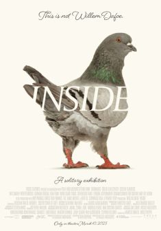 Locandina Inside