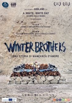 Locandina Winter Brothers