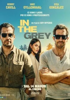 In the Grey