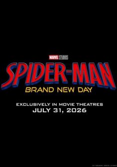 Locandina Spider-Man : A Brand New Day
