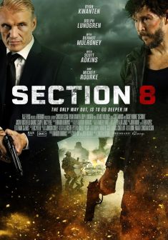 Locandina Section 8