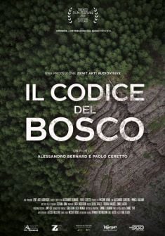 Locandina Il Codice del Bosco