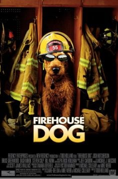 Locandina Il cane pompiere
