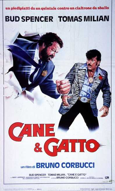 Cane E Gatto Film 1982