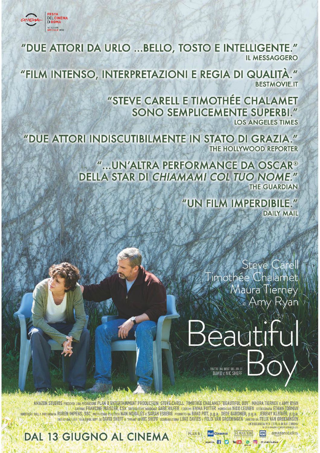 Beautiful Boy Film (2018)