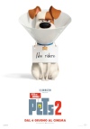 Pets 2 - Vita da animali - visualizza locandina ingrandita