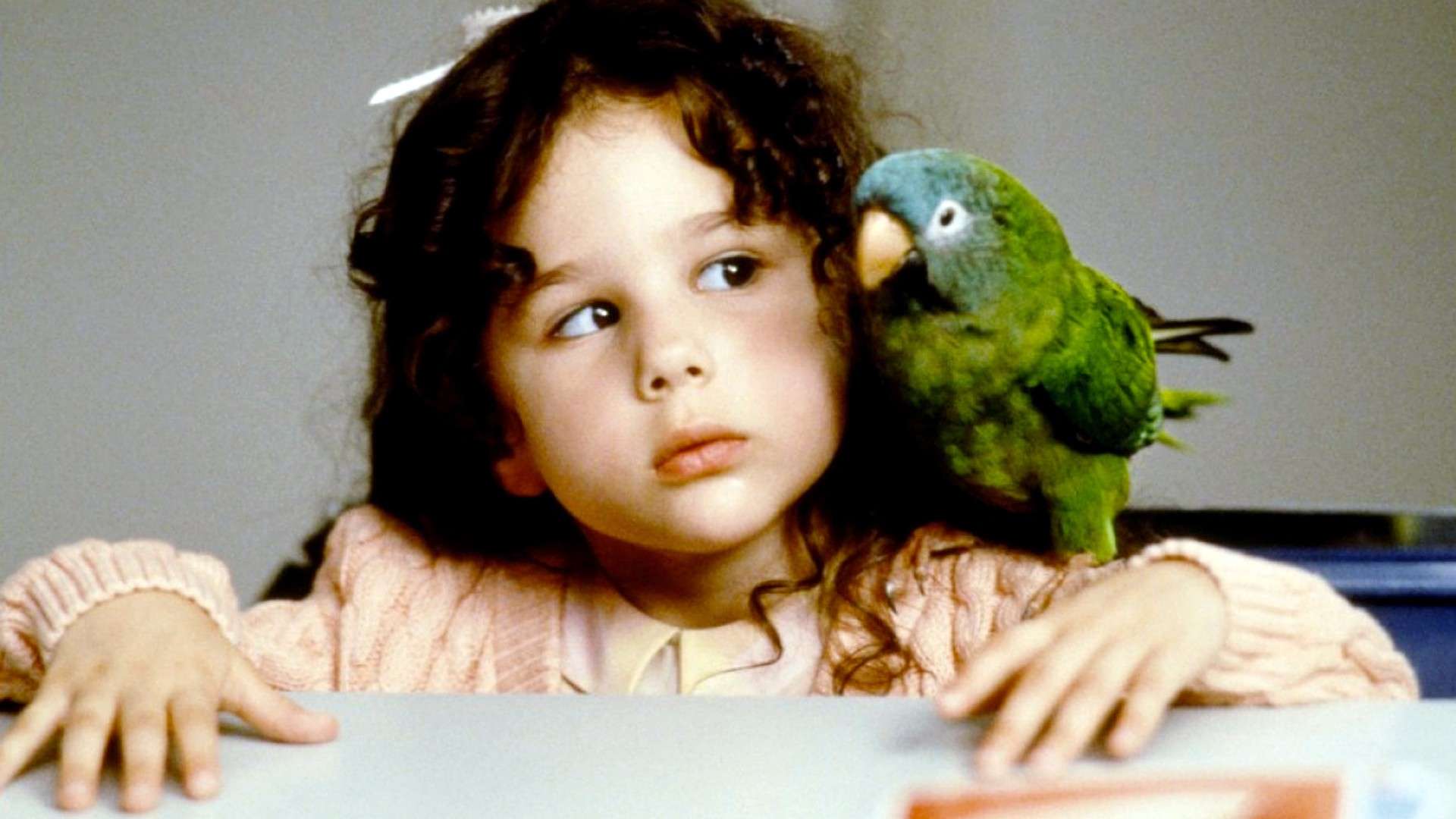 Paulie Il pappagallo che parlava troppo Film (1998) Paulie Il pappagallo che parlava troppo Film (1998)