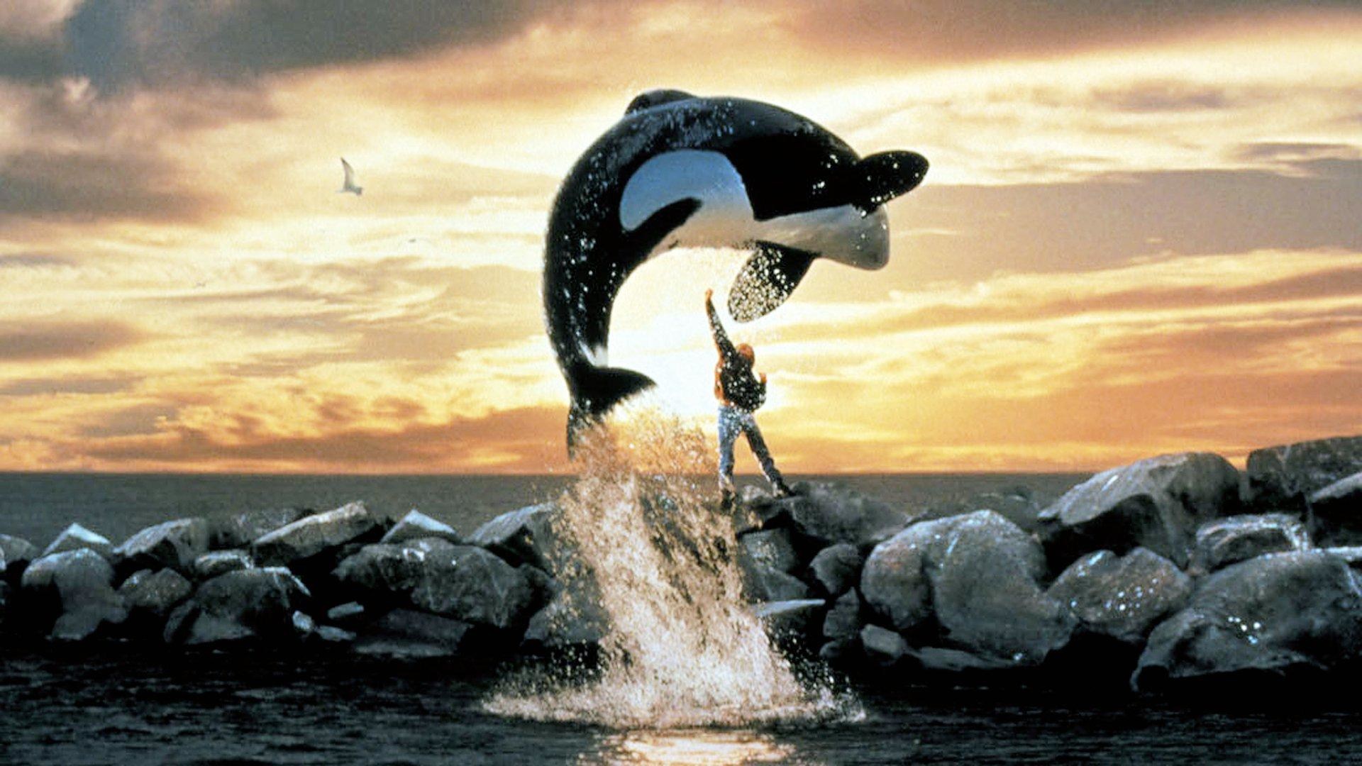 Free Willy - La Grande Fuga Streaming Ita