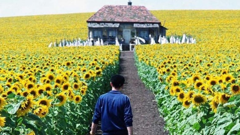 Ogni Cosa è Illuminata Spiegazione Film