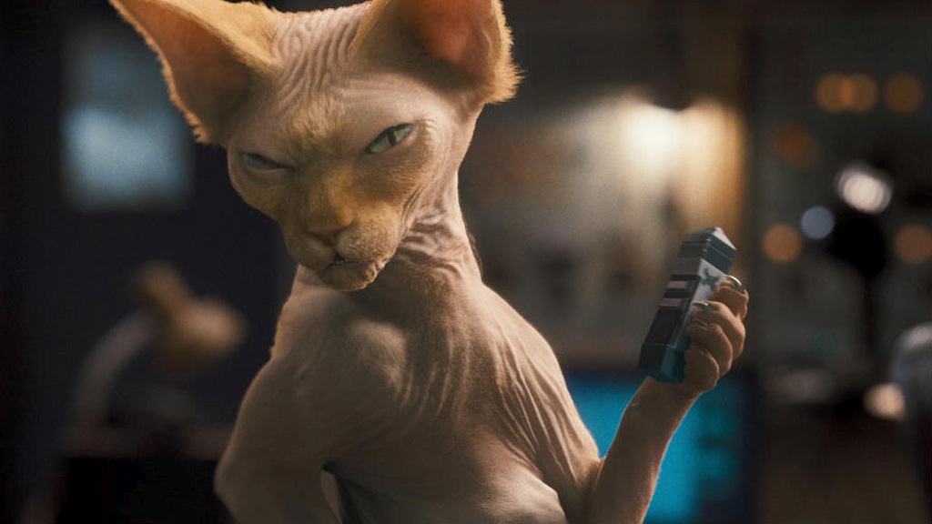 Cani E Gatti La Vendetta Di Kitty Streaming