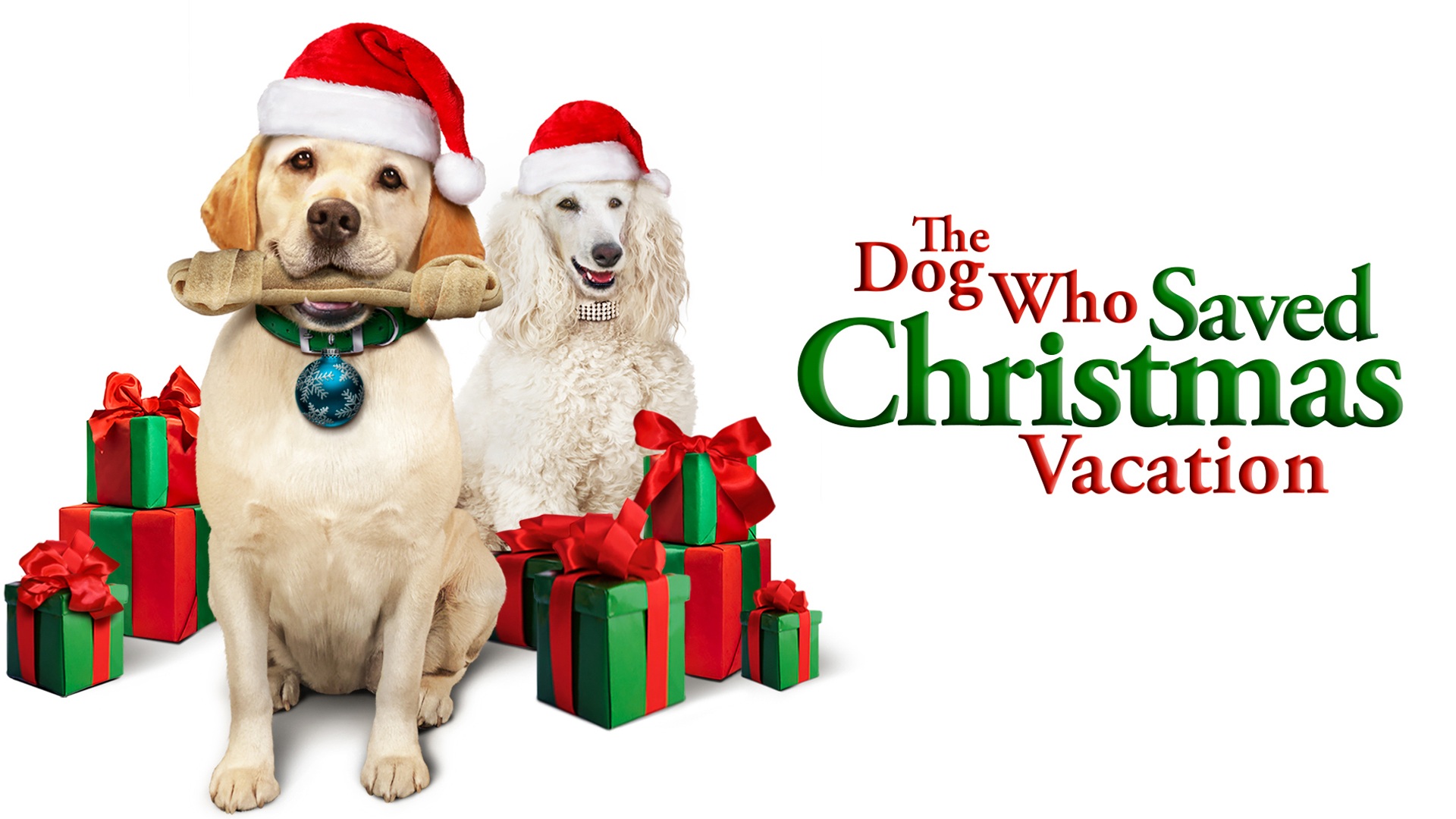 Film Di Natale Con Un Cane Bianco