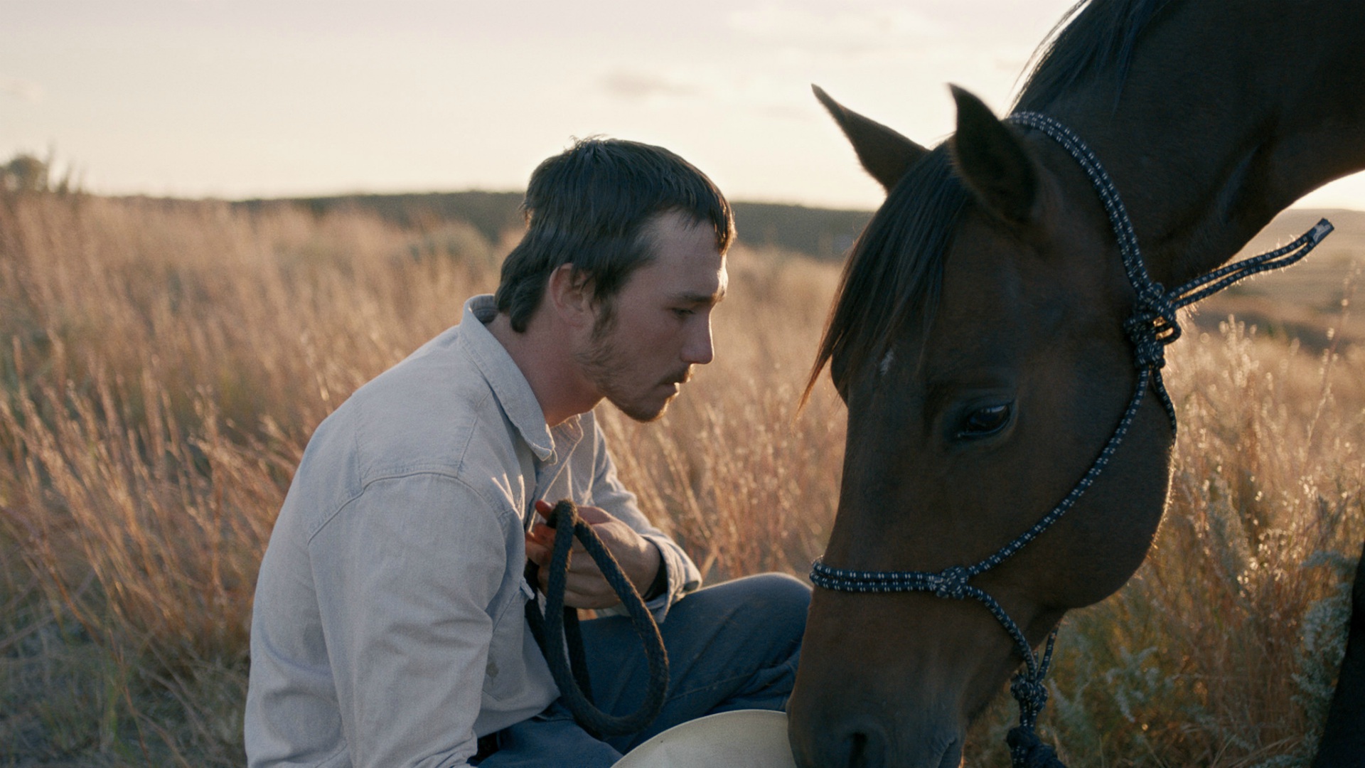 The Rider Il Sogno Di Un Cowboy