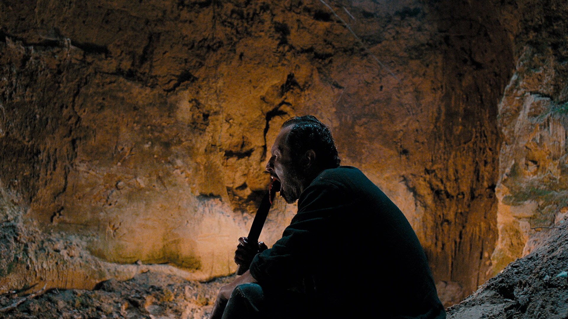 The Field Guide to Evil Film (2018)