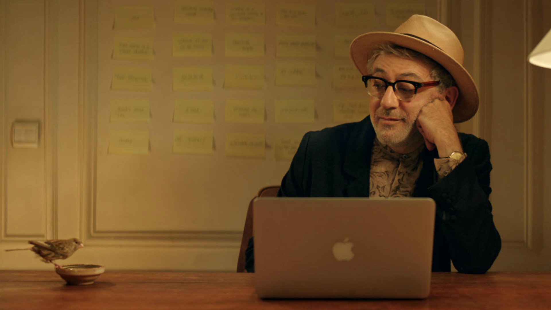 Il paradiso probabilmente streaming film gratis