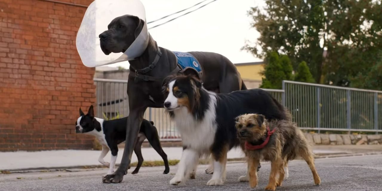 Doggy Style
