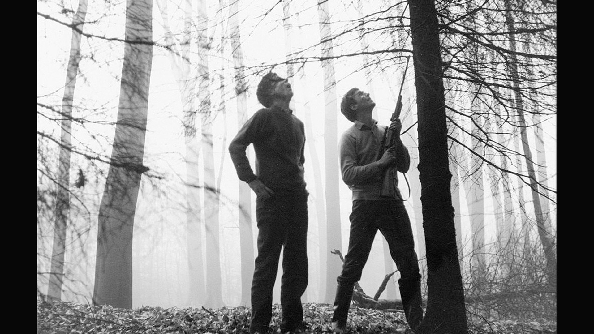 IL VAGABONDO Film (1966)