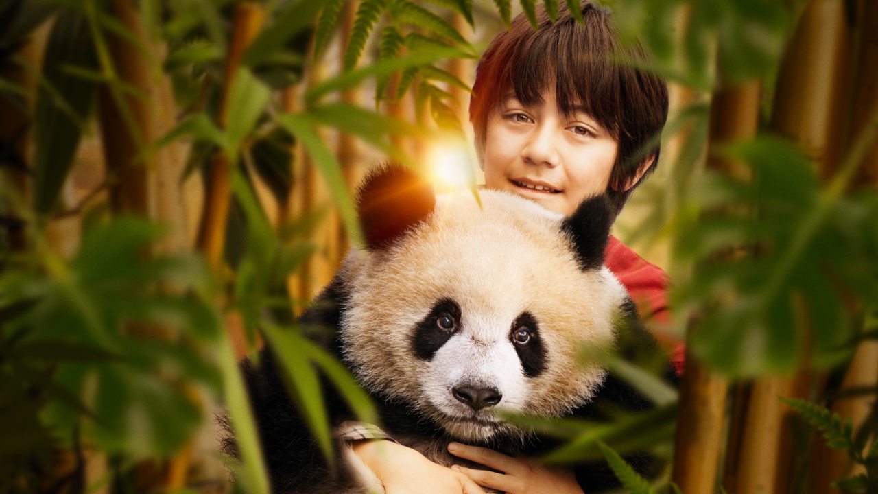Moon Il Panda