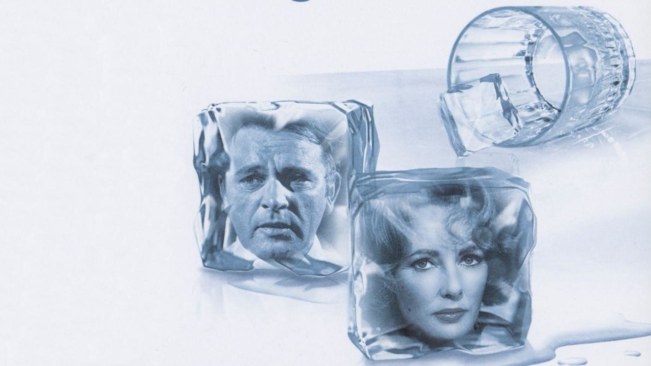Chi Ha Paura Di Virginia Woolf Streaming Ita