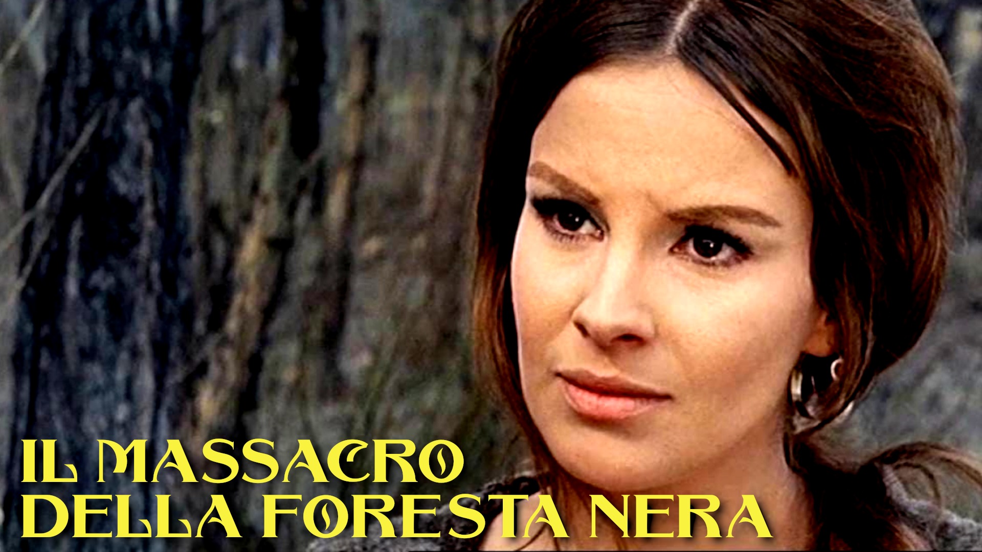 I Delitti Della Foresta Nera Streaming Ita