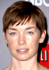 Locandina Julianne Nicholson